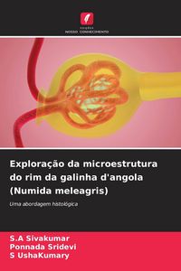 Produktbild: Explora&ccedil;&atilde;o da microestrutura do rim da galinha d'angola (Numida meleagris)