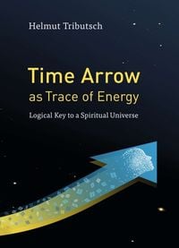Produktbild: Time Arrow as Trace of Energy