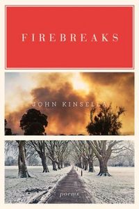 Produktbild: Firebreaks