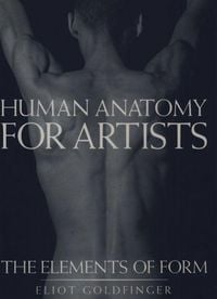 Produktbild: Human Anatomy for Artists