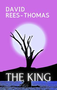 Produktbild: The King (Weird Wales, #2)