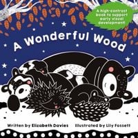 Produktbild: A Wonderful Wood: A Black-and-White High-Contrast Storybook for Newborns and Children aged 0-5