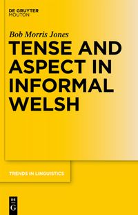 Produktbild: Tense and Aspect in Informal Welsh