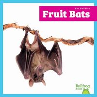 Produktbild: Fruit Bats