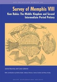 Produktbild: The Survey of Memphis VIII