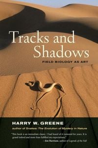 Produktbild: Tracks and Shadows