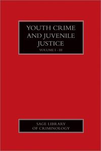 Produktbild: Youth Crime and Juvenile Justice