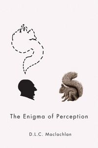 Produktbild: Enigma of Perception