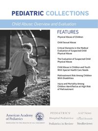 Produktbild: Child Abuse: Overview and Evaluation