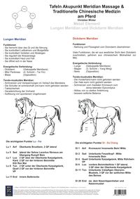 Produktbild: Metall Element. Lungen und Dickdarm Meridian.