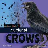 Produktbild: Murder of Crows
