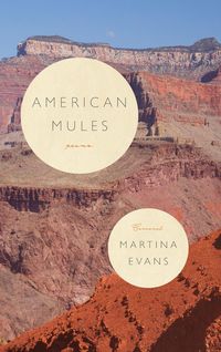 Produktbild: American Mules