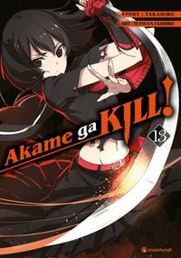 Produktbild: Akame ga KILL! &ndash; Band 13