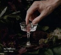 Produktbild: Lost Songs