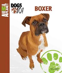 Produktbild: BOXER