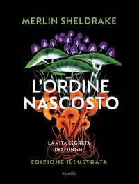 Produktbild: L' ordine nascosto