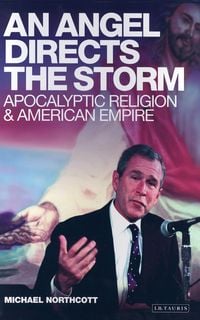 Produktbild: An Angel Directs the Storm