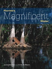 Produktbild: Florida's Magnificent Water