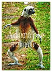 Produktbild: Adorable lemurs (Wall Calendar 2026 DIN A4 portrait), CALVENDO 12 Month Wall Calendar