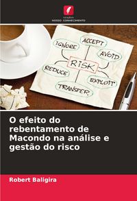 Produktbild: O efeito do rebentamento de Macondo na an&aacute;lise e gest&atilde;o do risco