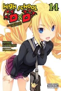 Produktbild: High School DXD, Vol. 14 (Light Novel)