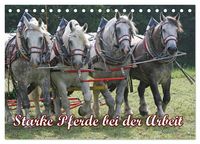 Produktbild: Starke Pferde bei der Arbeit (Tischkalender 2026 DIN A5 quer), CALVENDO Monatskalender