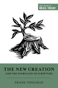 Produktbild: The New Creation and the Storyline of Scripture
