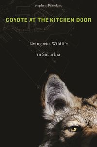 Produktbild: DeStefano, S: Coyote at the Kitchen Door