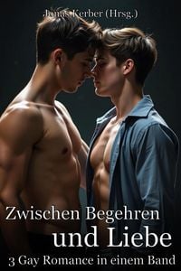 Produktbild: Zwischen Begehren und Liebe: 3 Gay Romance in einem Band