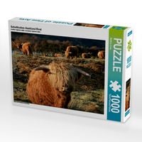 Produktbild: CALVENDO Puzzle Schottisches Hochland Rind | 1000 Teile Lege-Gr&ouml;&szlig;e 64x48cm Foto-Puzzle f&uuml;r gl&uuml;ckliche Stunden