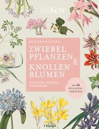Produktbild: Zwiebelpflanzen & Knollenblumen