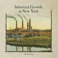 Produktbild: Industrial Growth in New York