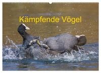 Produktbild: K&auml;mpfende V&ouml;gel (Wandkalender 2026 DIN A2 quer), CALVENDO Monatskalender