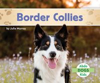 Produktbild: Border Collies