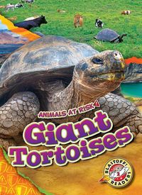 Produktbild: Giant Tortoises