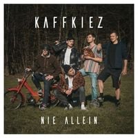 Produktbild: Nie Allein (Black Vinyl)