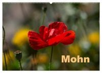 Produktbild: Mohn (Wandkalender 2026 DIN A2 quer), CALVENDO Monatskalender