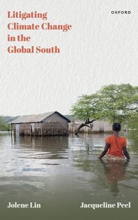 Produktbild: Litigating Climate Change in the Global South