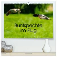 Produktbild: Buntspechte im Flug (hochwertiger Premium Wandkalender 2027 DIN A2 quer), Kunstdruck in Hochglanz