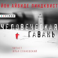 Produktbild: Chekovecheskaya gavan'