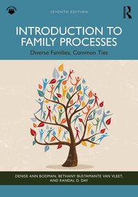 Produktbild: Introduction to Family Processes