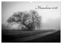Produktbild: Monochrom 2026 (Wandkalender 2026 DIN A3 quer), CALVENDO Monatskalender