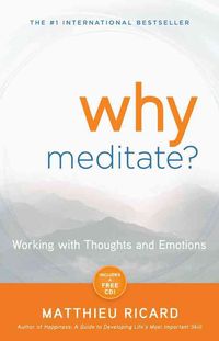 Produktbild: Why Meditate?