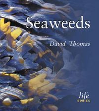 Produktbild: Seaweeds
