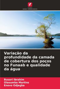 Produktbild: Varia&ccedil;&atilde;o da profundidade da camada de cobertura dos po&ccedil;os no Funaab e qualidade da &aacute;gua