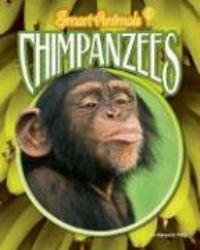 Produktbild: Chimpanzees