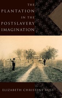Produktbild: The Plantation in the Postslavery Imagination