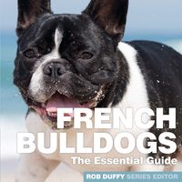 Produktbild: French Bulldogs