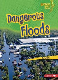 Produktbild: Dangerous Floods