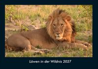 Produktbild: L&ouml;wen in der Wildnis 2027 Fotokalender DIN A4